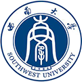 西南大学应用统计硕士